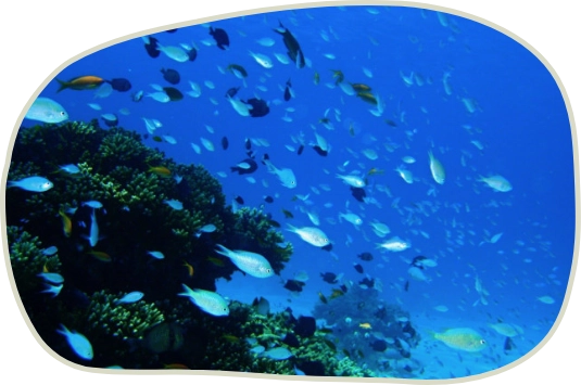 コンセプト画像1