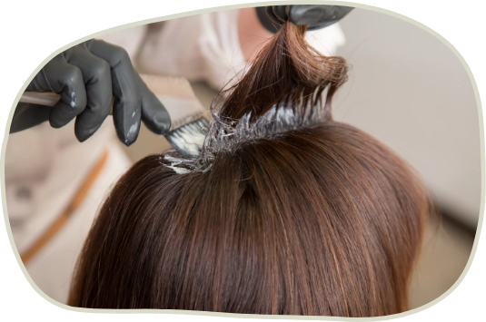 コンセプト画像2