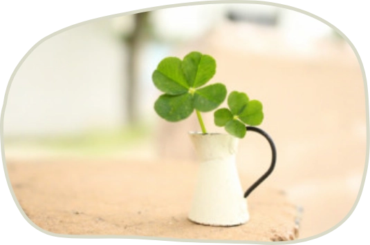 コンセプト画像5